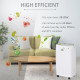 12L/Day Dehumidifier with Continuous Drainage, 2.5L Water Tank, 24H Timer, Humidity Display, for Home Damp, Condensation, Mould 