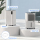 12L/Day Dehumidifier with Continuous Drainage, 2L Water Tank, 24H Timer, Digital Humidity Display, Filter, Auto Defrost, Childre