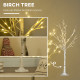 4ft Artificial White Birch Tree Light with Warm White Pre-Lit LED Light for Indoor and Covered Outdoor Use