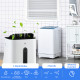 6500mL Portable Dehumidifier with Air Purifier Filter, 24H Timer, 4 Modes, 22L/Day, for Home Laundry Basement