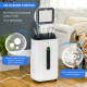 6500mL Portable Dehumidifier with Air Purifier Filter, 24H Timer, 4 Modes, 22L/Day, for Home Laundry Basement