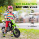 AIYAPLAY 12V Kids Electric Motorbike, Kids Electric Ride on Motorcycle w/ Twist Grip Throttle, Training Wheels - Green