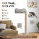 PawHut 4 Piece Cat Shelves w/ Scratching Post, Steps, Jumping Platform, Ladder, Toy Balls, for Indoor Cats, Light Grey