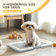 PawHut Dog Toilet Tray for Training Dogs, Dog Litter Tray for Indoor, Outdoor, 63 x 49 x 6cm