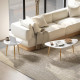 Set of Two Scandinavian-Style Coffee Tables - White