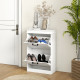 Two-Drawer Minimalistic Shoe Storage Cabinet, for 10 Shoes