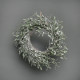 Mistletoe frosted wreath