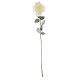 Snowy White English Rose (72cm)