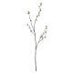 White Snowberry Spray (102cm)