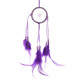 Dreamcatcher - Bright Mini Feather