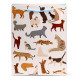 Gift Bag (Large) - Feline Fine Cats