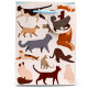 Gift Bag (Medium) - Feline Fine Cats