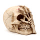 Gothic Skull Decoration - Skull Head with Skeleton Claw Hand