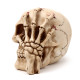 Gothic Skull Decoration - Skull Head with Skeleton Claw Hand