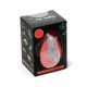 Hatching Bath Bomb in Gift Box - Dinosauria