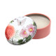 Lip Balm in a Tin - Butterfly Meadows