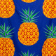 Microfibre Beach Towel - Pineapple Print