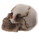 Novelty Red Eyed Skull Decoration