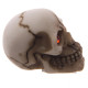 Novelty Red Eyed Skull Decoration