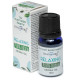 Premium Plant Based Stamford Aroma Oil - Relaxing 10ml