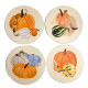 Set of 4 Cork Novelty Coasters - Autumn Harvest