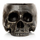 Skull Garden Planter