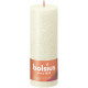 Soft &amp; Pearl Bolsius Rustic Shine Pillar Candle (190 x 68mm)