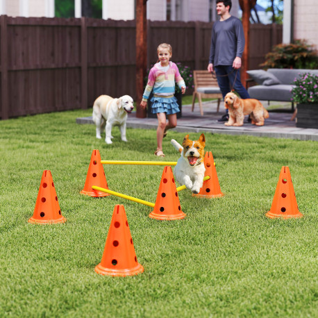 PawHut Dog Agility Equipment Set of 6 Cones, 6 Poles with Carry Bag, 3 PCS Adjustable Height Jumping Obstacles, Orange