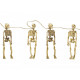 Hanging Skeleton Garland