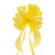 Daffodil Pull Bow 31mm