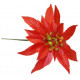 Red Poinsettia (6.5inch)