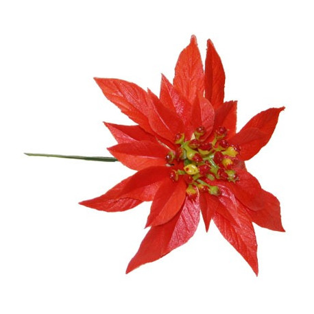 Red Poinsettia (6.5inch)