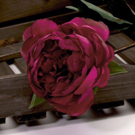 Single Peony Magenta 68cm