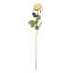 Arundel Open  Rose Yellow