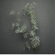 Frosted White Berry Mistletoe Garland (180cm)
