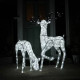 Large Light Up Stag &amp; Doe Reindeer Set