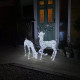 Large Light Up Stag &amp; Doe Reindeer Set
