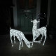 Large Light Up Stag &amp; Doe Reindeer Set