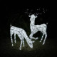 Large Light Up Stag &amp; Doe Reindeer Set