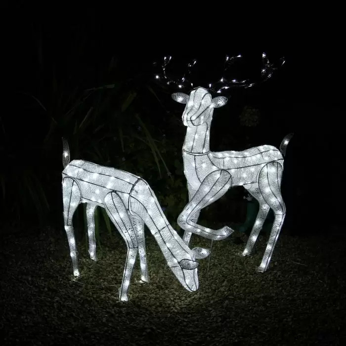 Large Light Up Stag &amp; Doe Reindeer Set