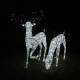 Large Light Up Stag &amp; Doe Reindeer Set