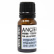 10ml Aromatherapy Car Blend - Focus &amp; Drive