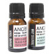 10ml Aromatherapy Car Blend - Focus &amp; Drive
