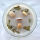 Mint and Moonstone Gemstone Candle - Inner Growth