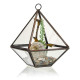 Glass Terrarium - Small Diamond
