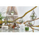Glass Terrarium - Small Diamond