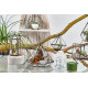 Glass Terrarium - Small Diamond