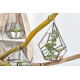 Glass Terrarium - Large Pentagon