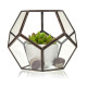 Glass Terrarium - Large Octagon