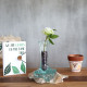 Molten Glass on Whitewash Wood - Vase - Small